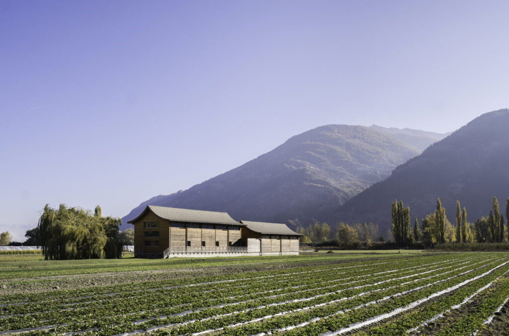 Retraite de sagesse martiale – Saillon, Suisse